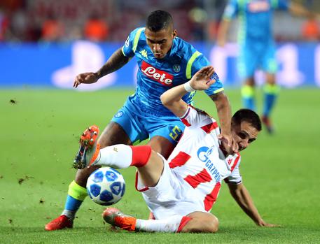 UEFA Champions League Red Star vs Napoli